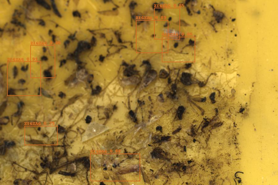 Image 12